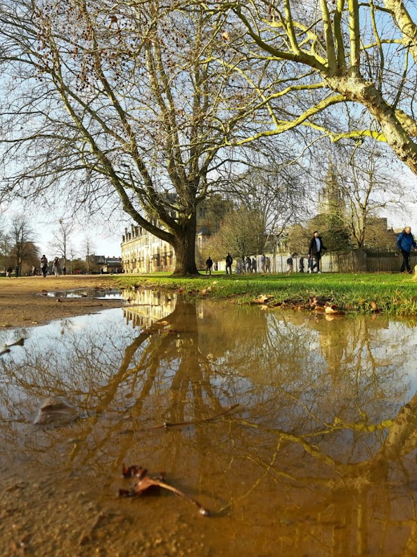 Christ Church Meadow Walk 4