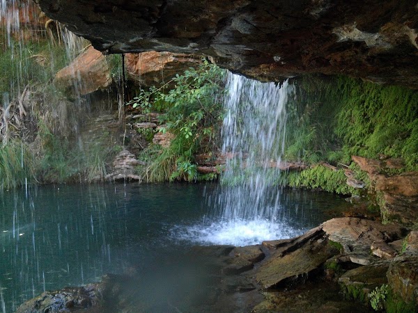 Fern Pool 5