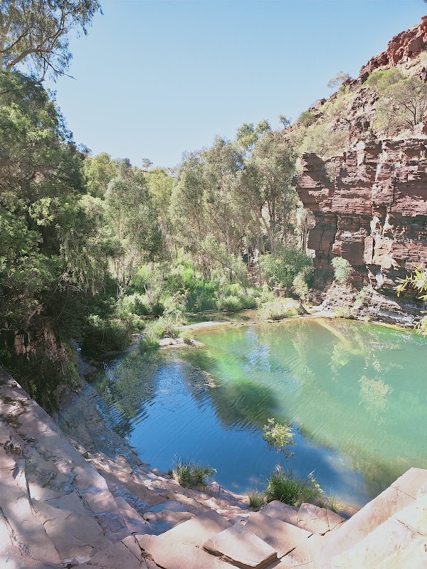 Fern Pool 4