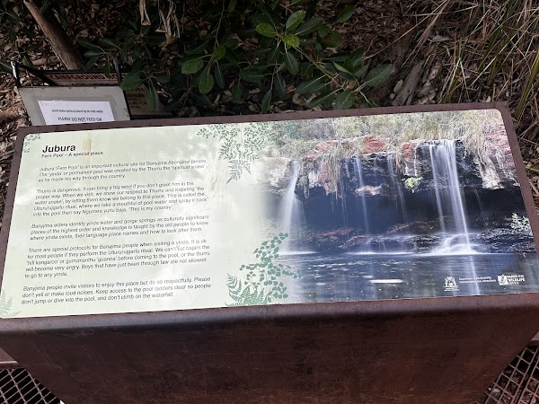 Fern Pool 3