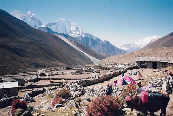 Pheriche