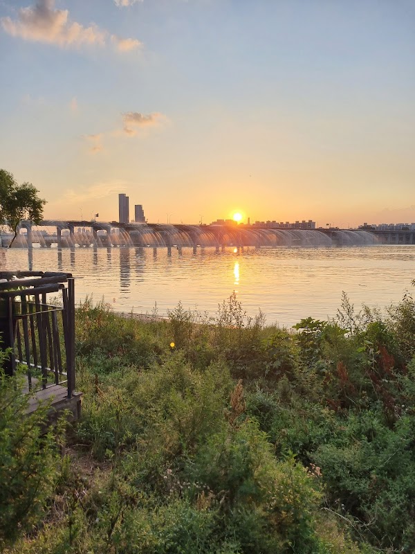 Jamwon Hangang Park 3