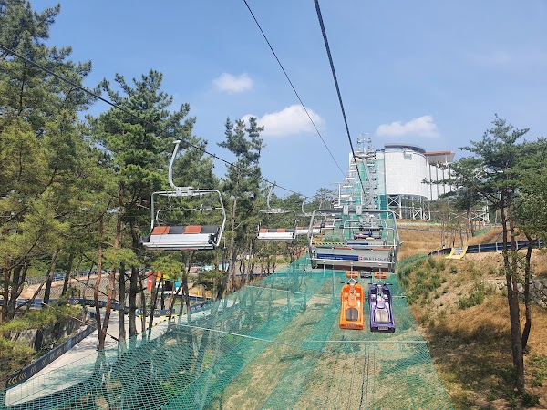 경주 루지월드 5