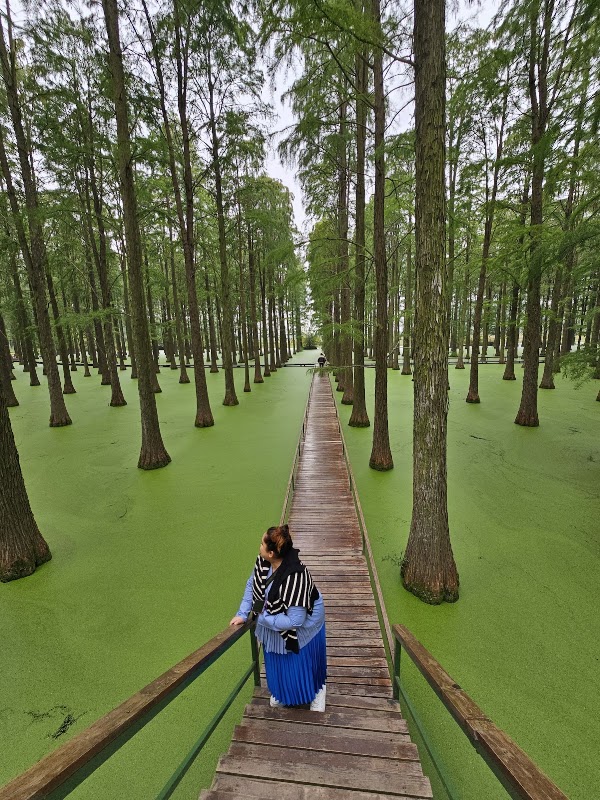 Luyanghu Wetland Park North Gate 5