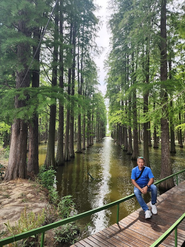Luyanghu Wetland Park North Gate 3