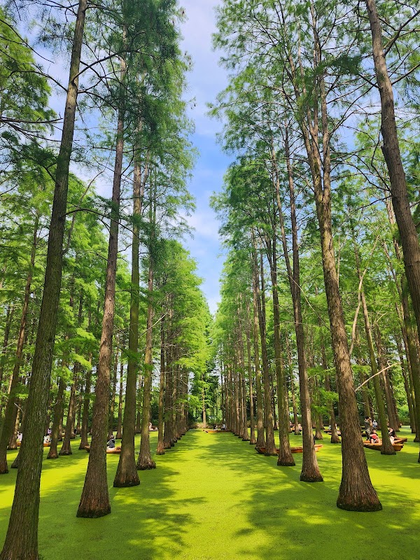 Luyanghu Wetland Park North Gate 2