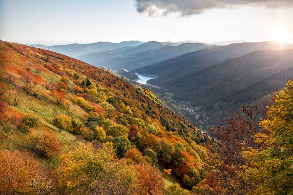 Vosges