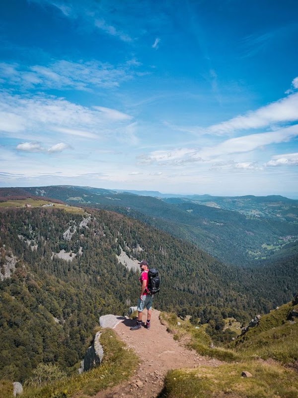 Vosges 5