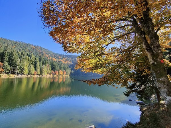 Vosges 4