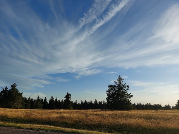 Vosges 2