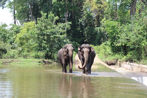 Yok Don National Park 1