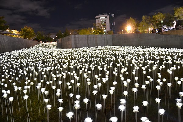 Dongdaemun Design Plaza 2