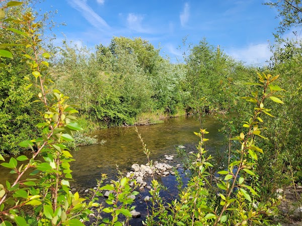 San Lorenzo River