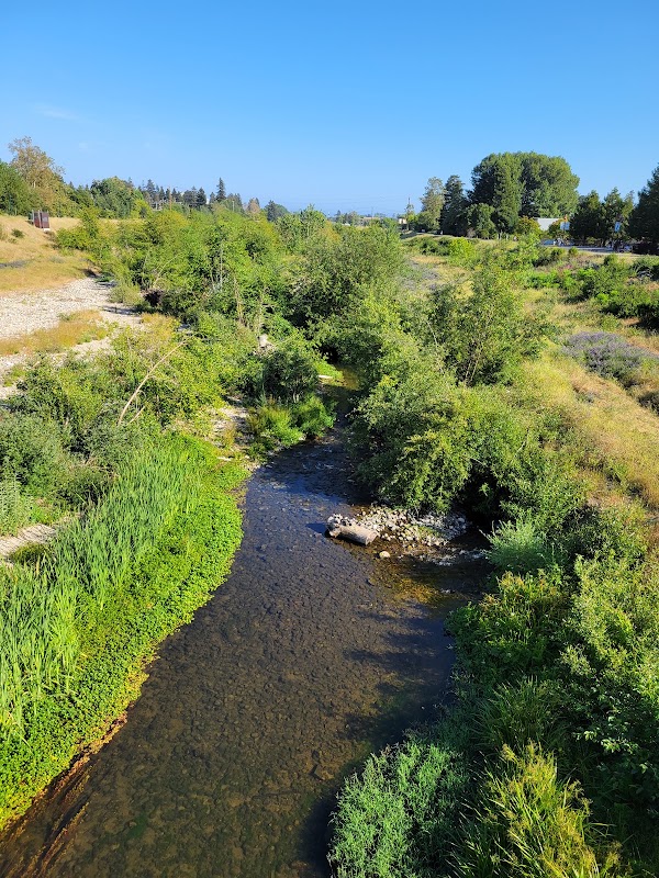 San Lorenzo River 4