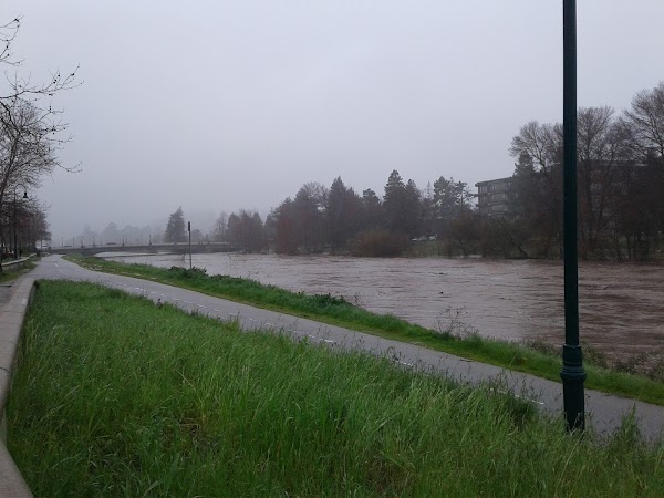 San Lorenzo River 3