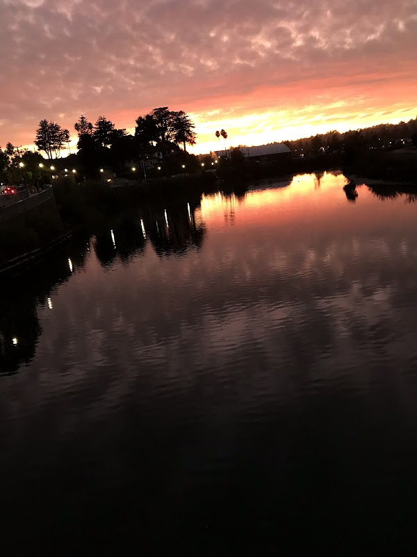 San Lorenzo River 2