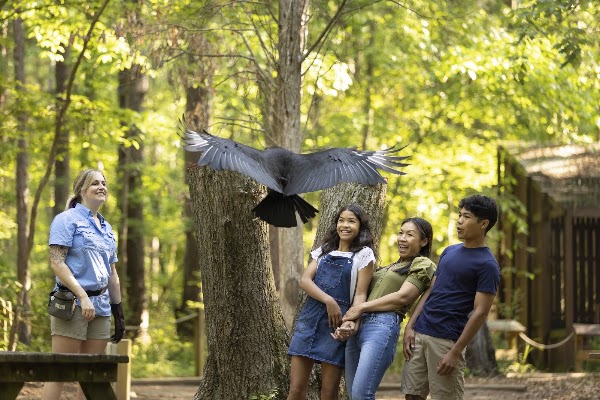 Carolina Raptor Center 1