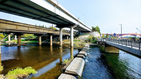 Hongjecheon Stream 4