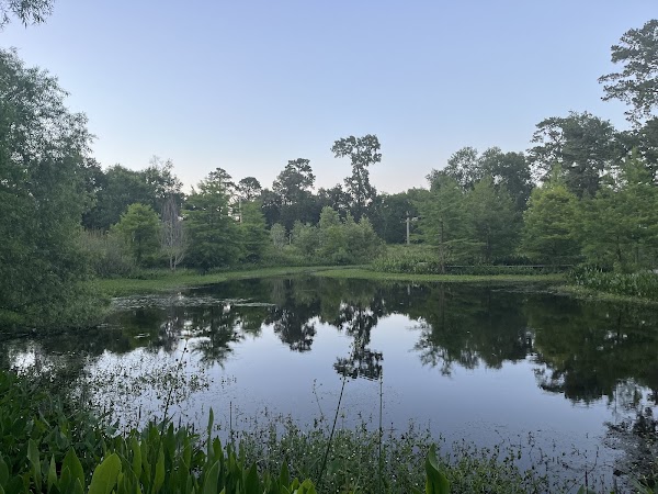 Houston Arboretum & Nature Center 5