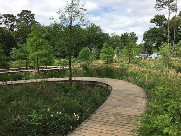 Houston Arboretum & Nature Center 4
