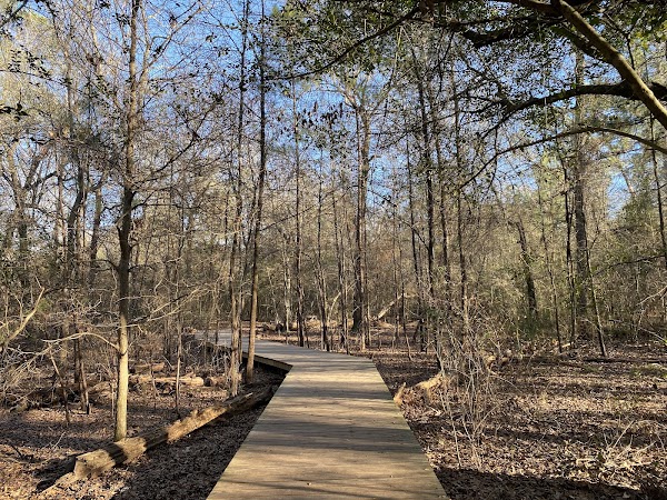 Houston Arboretum & Nature Center 3