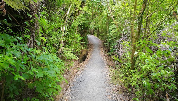 Mangemangeroa Reserve 5