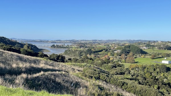Mangemangeroa Reserve 4