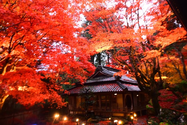 Kyorinbo Temple 3