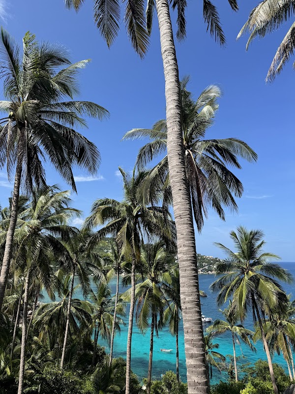 John-Suwan Viewpoint 4