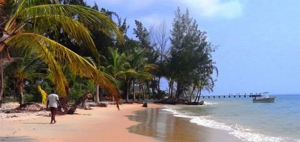 Gabon 5