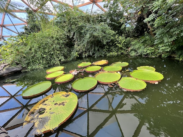 Rotterdam Zoo 4
