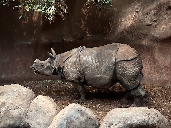 Rotterdam Zoo 3