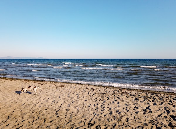 Lakonikos Kolpos 4