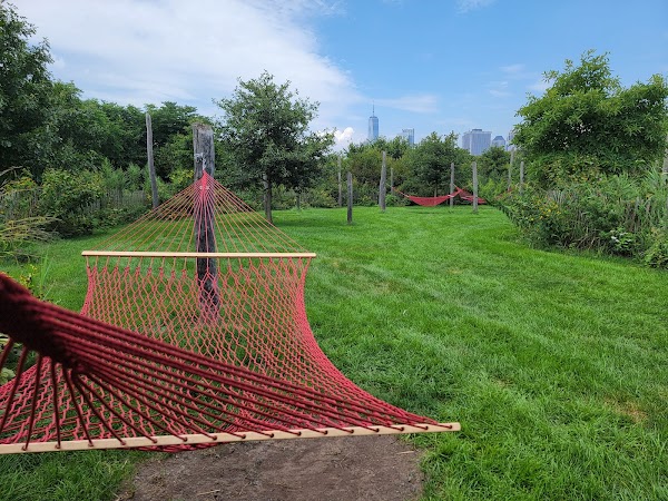Hammock Grove
