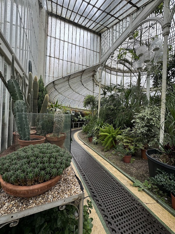 The Palm House