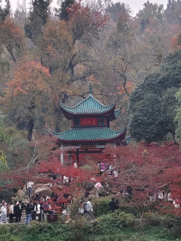 Autumn-Admiring Pavilion 1