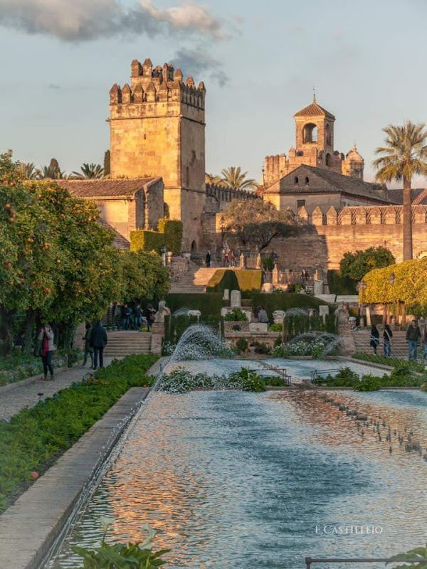 Córdoba 4