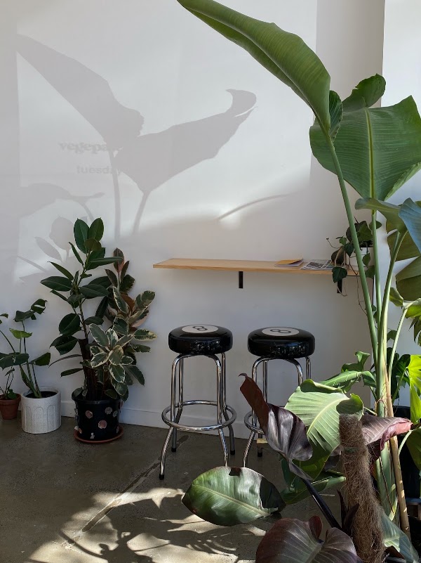 Vegepatch Studios 3