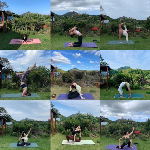 요가베르데 Yoga Verde Jeju (English Yoga & Retreat) 5