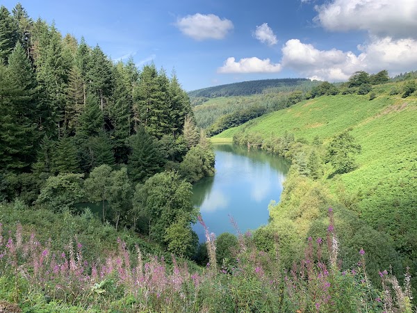 Cwmwernderi Reservoir