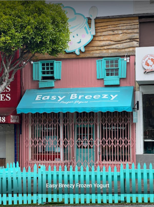 Easy Breezy Frozen Yogurt 1