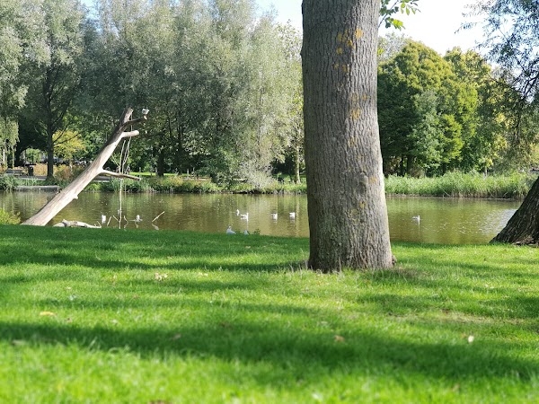 Oosterpark 4