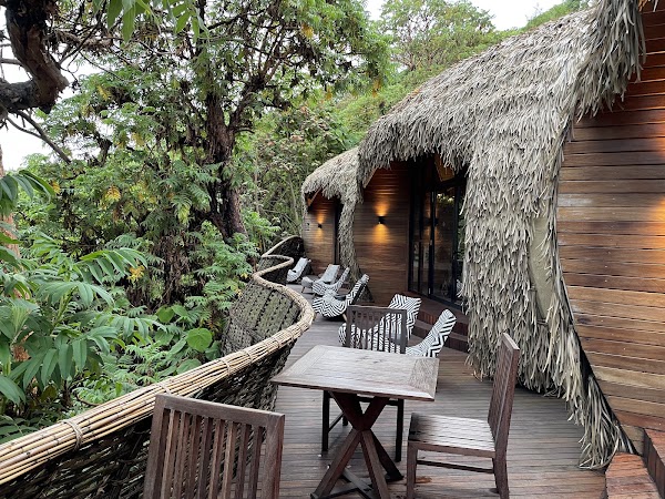 Wilderness Bisate 3