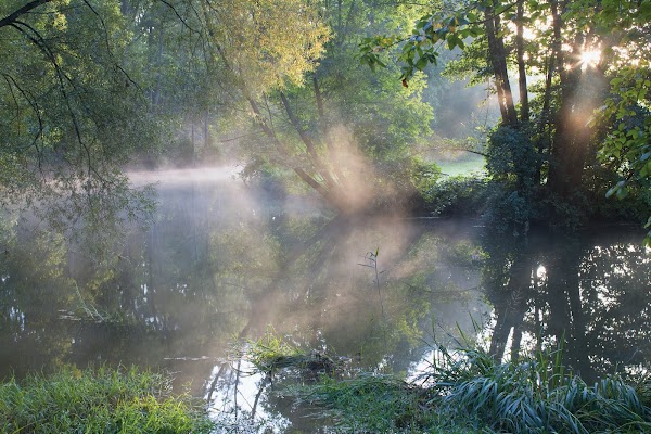 Thayatal National Park