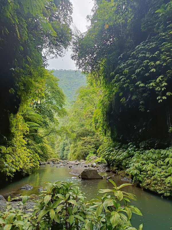 SEKUMPUL WATERFALL OFFICIAL (POST 1) 5