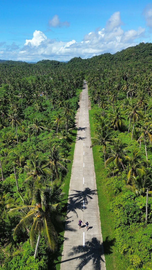 Coconut Road 5