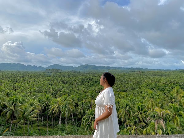 Coconut Road 3