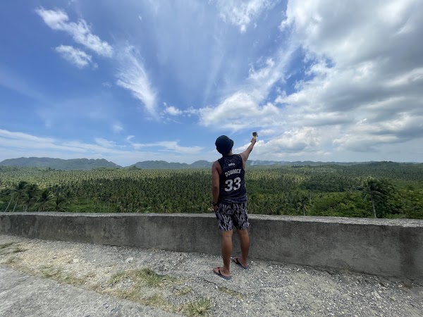 Coconut Road 2