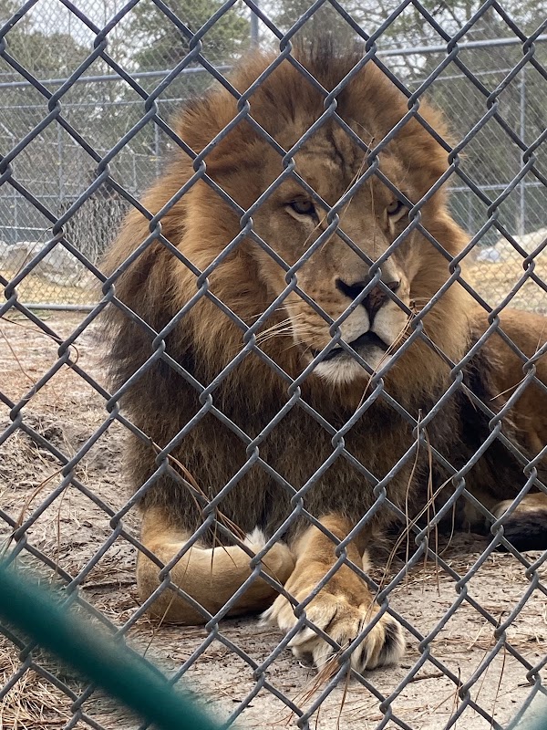 Popcorn Park Animal Refuge 1
