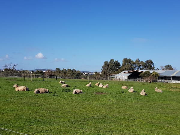 Chesterfield Farm- PLEASE PRE PURCHASE TICKETS 4